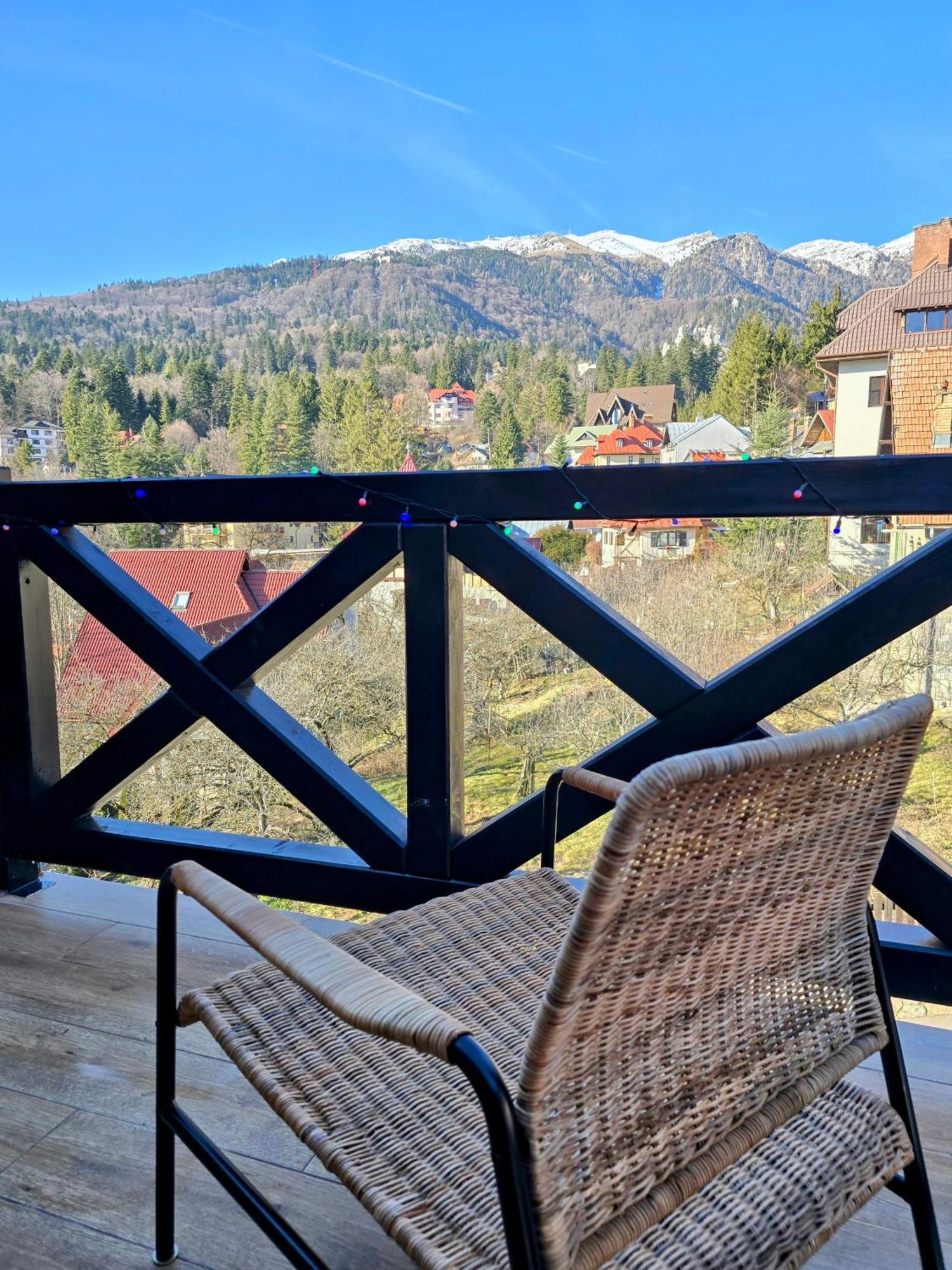 Vila Ferdinand Apartments Sinaia Værelse billede